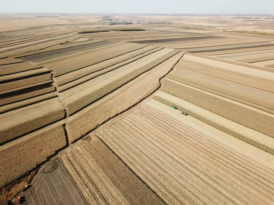 当好国家粮食安全“压舱石”——来自东北三省农业一线的最新观察