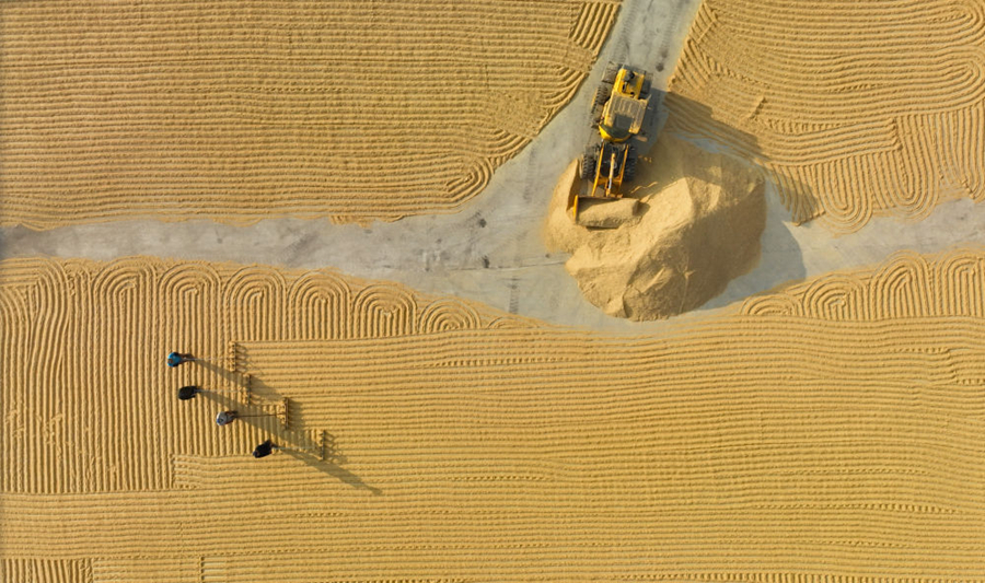 当好国家粮食安全“压舱石”——来自东北三省农业一线的最新观察