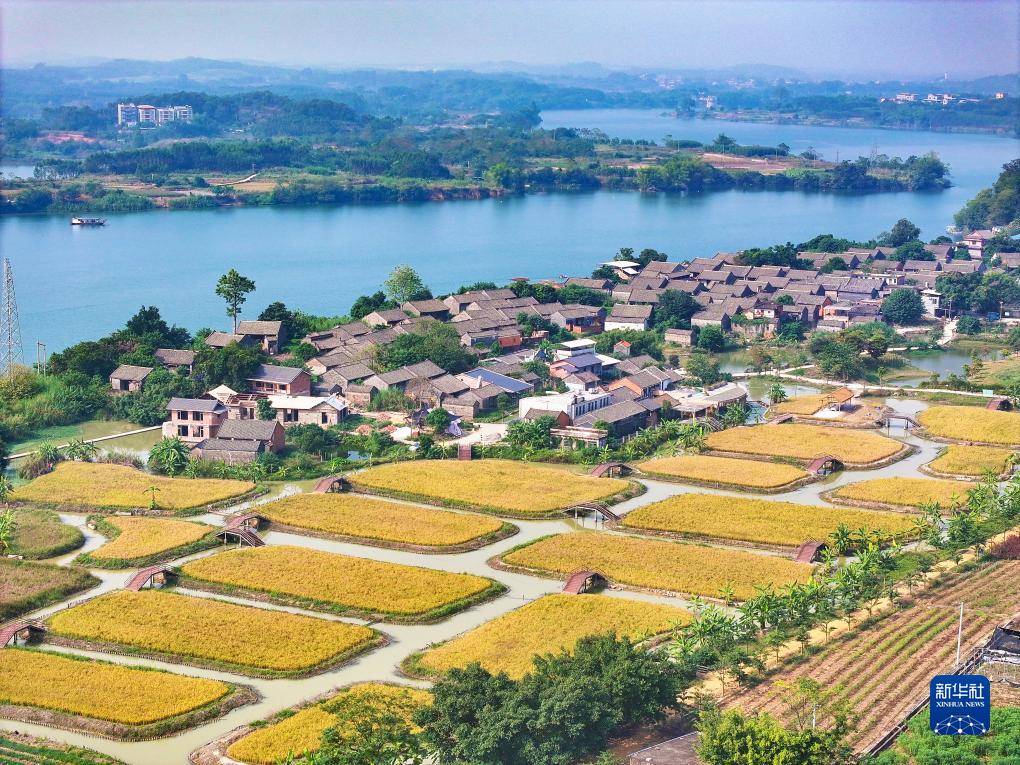 初冬景如画