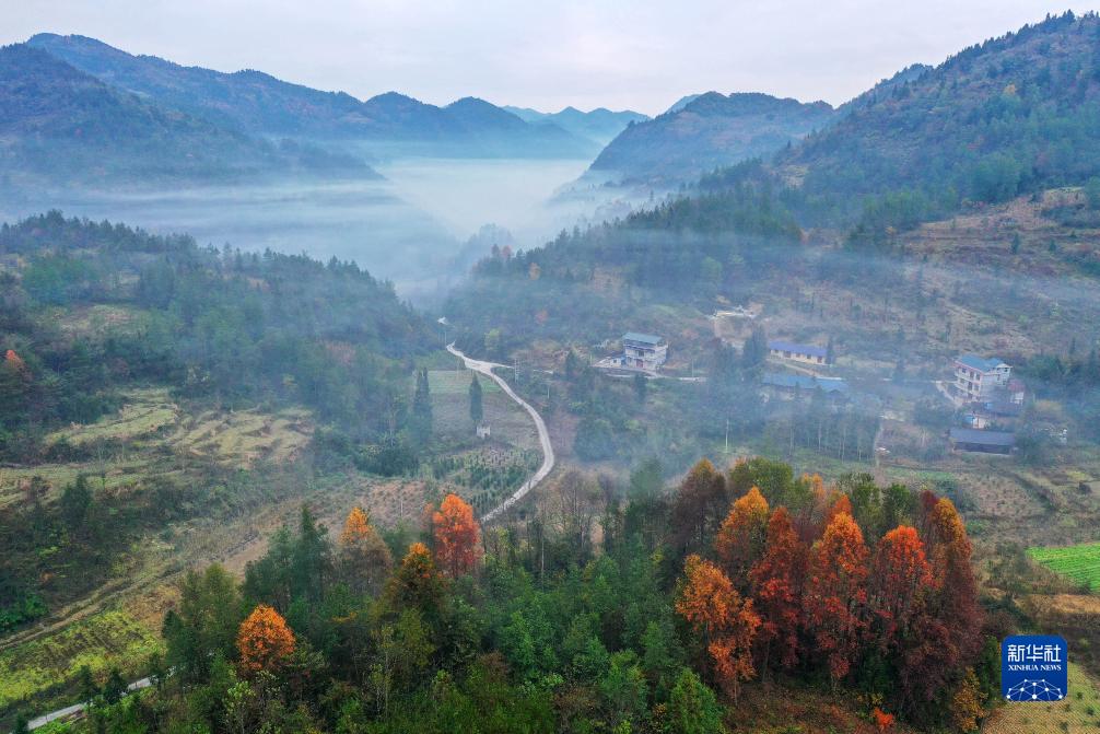 初冬景如画