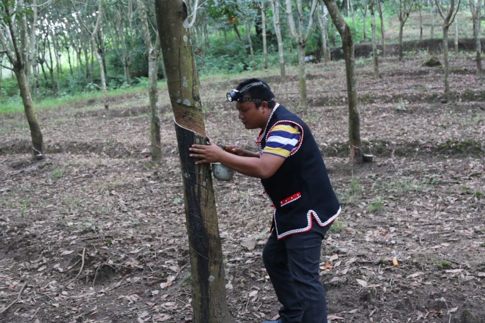 新闻多一点｜走进上海期货交易所