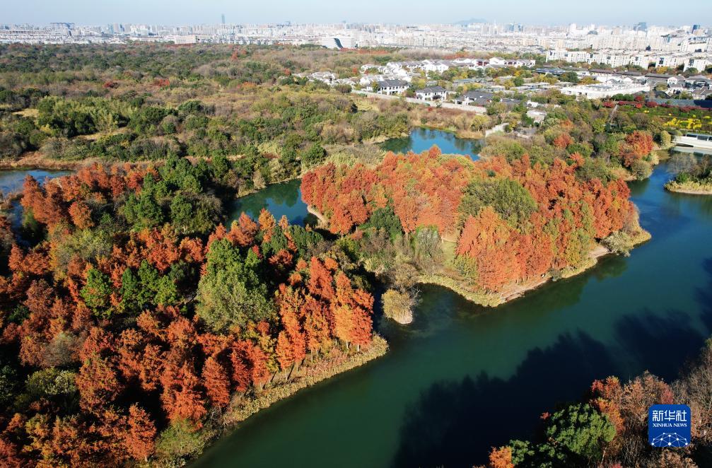 冬日景色美