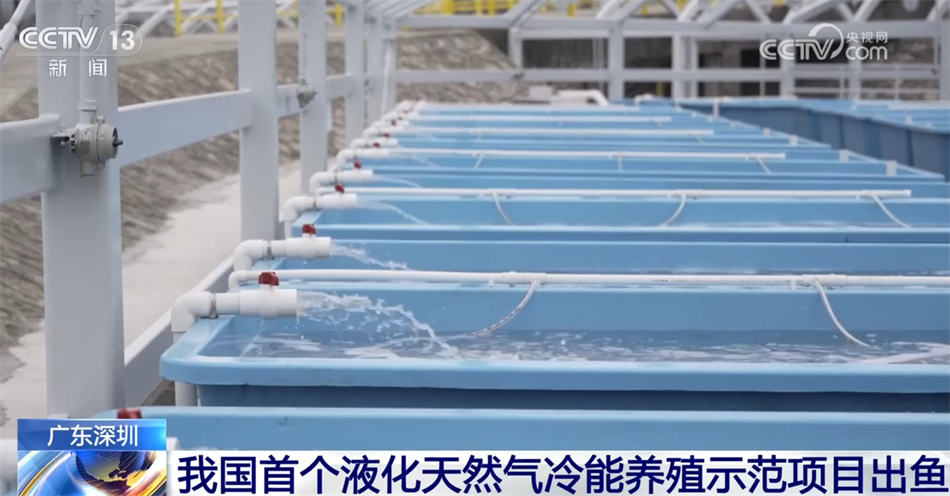 多行业“握指成拳”合力致远 中国高质量发展“稳”“进”“好”特征显现 多行业“握指成拳”合力致远 中国高质量发展“稳”“进”“好”特征显现