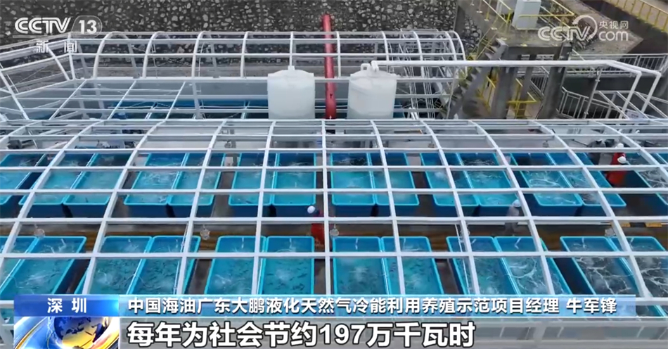 多行业“握指成拳”合力致远 中国高质量发展“稳”“进”“好”特征显现 多行业“握指成拳”合力致远 中国高质量发展“稳”“进”“好”特征显现