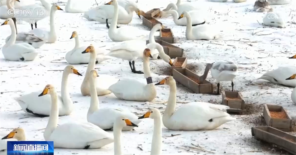多行业“握指成拳”合力致远 中国高质量发展“稳”“进”“好”特征显现 多行业“握指成拳”合力致远 中国高质量发展“稳”“进”“好”特征显现