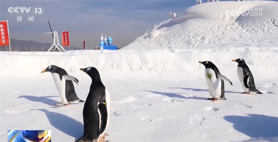 多行业“握指成拳”合力致远 中国高质量发展“稳”“进”“好”特征显现 多行业“握指成拳”合力致远 中国高质量发展“稳”“进”“好”特征显现