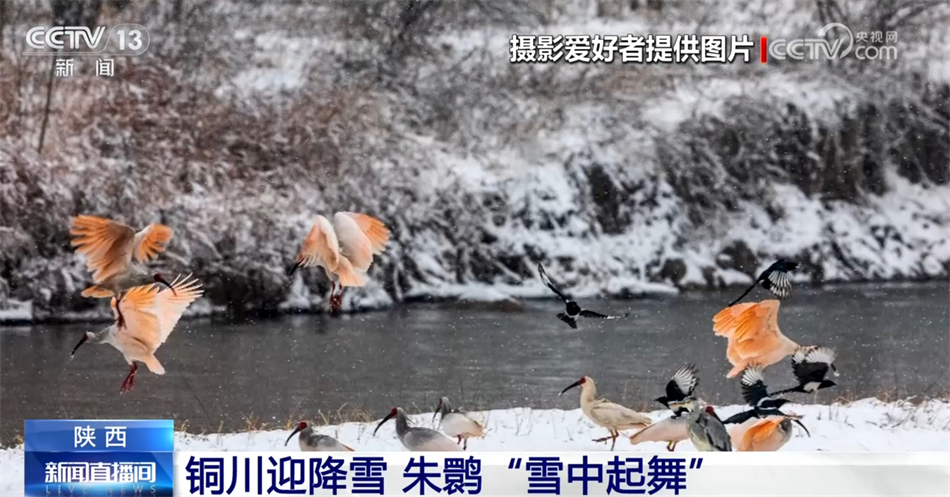 多行业“握指成拳”合力致远 中国高质量发展“稳”“进”“好”特征显现 多行业“握指成拳”合力致远 中国高质量发展“稳”“进”“好”特征显现