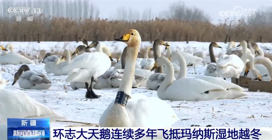 多行业“握指成拳”合力致远 中国高质量发展“稳”“进”“好”特征显现 多行业“握指成拳”合力致远 中国高质量发展“稳”“进”“好”特征显现