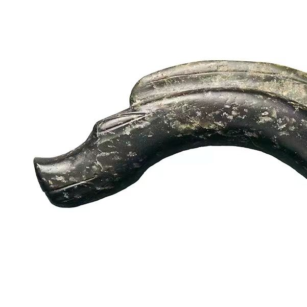 锦绣中国年&middot;龙年说龙丨“神秘龙”：神州大地藏龙有几多？