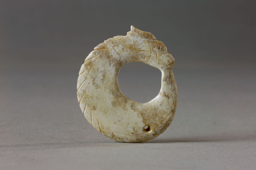 锦绣中国年&middot;龙年说龙丨“神秘龙”：神州大地藏龙有几多？