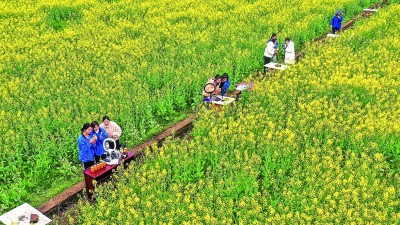职业教育成就更多出彩人生