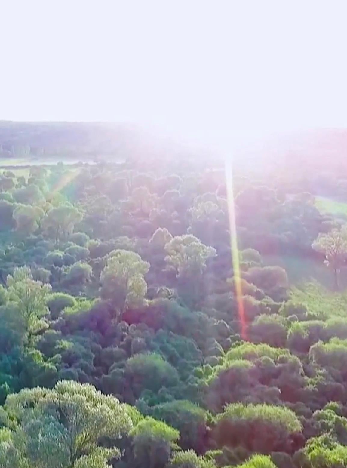 一组超“治愈”的数字 带你看中国的绿色奇迹! 一组超“治愈”的数字 带你看中国的绿色奇迹!