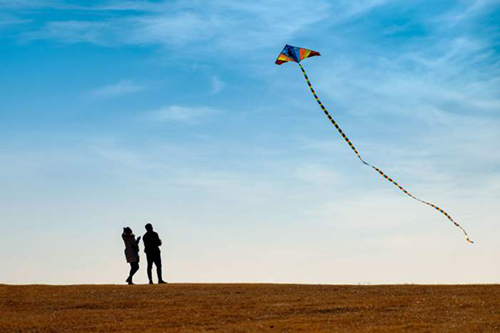 The first wave of pollen warning in 2024 The first wave of pollen warning in 2024