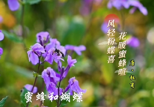 春日里，和动物们一起过春天