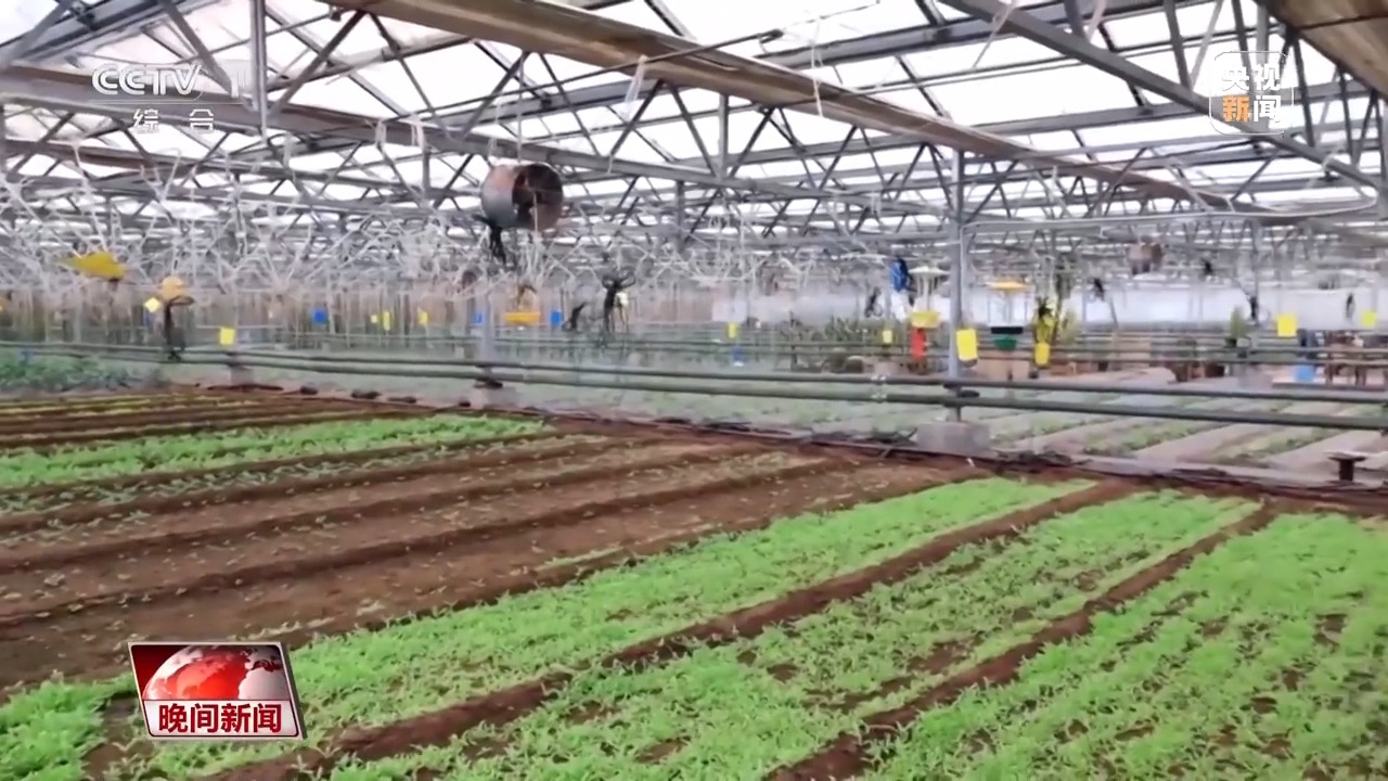 多措并举为农户解难题 各地春耕备耕“有底气”