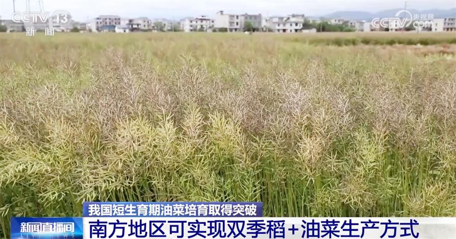 积极因素不断累积增多 中国高质量发展“枝繁叶茂”成果丰硕