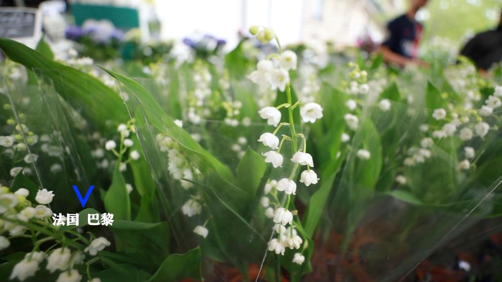 高访Vlog｜弘扬“中法精神” 携手迈向新甲子