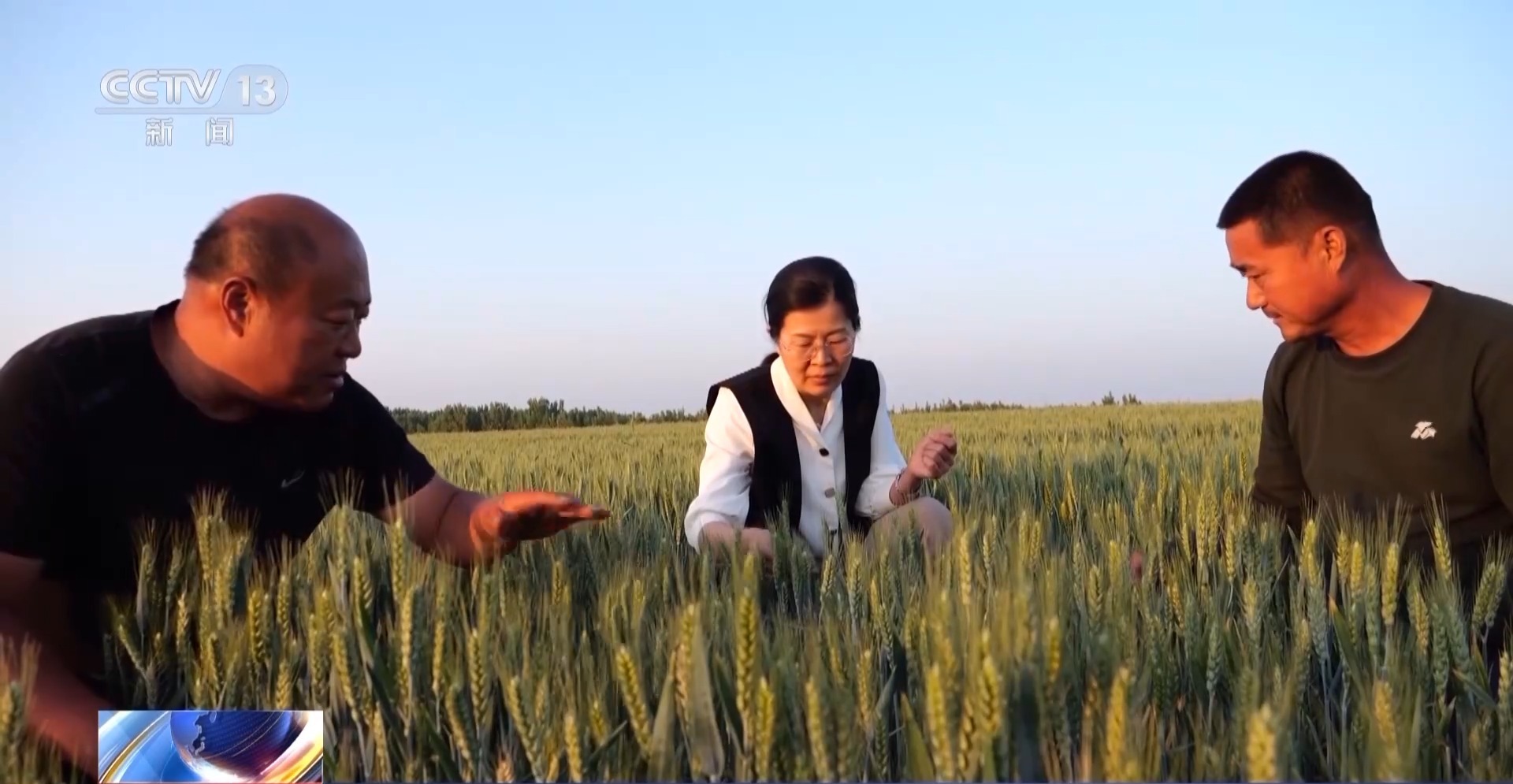 加强田管保丰收 这些科技手段省时省力还省心