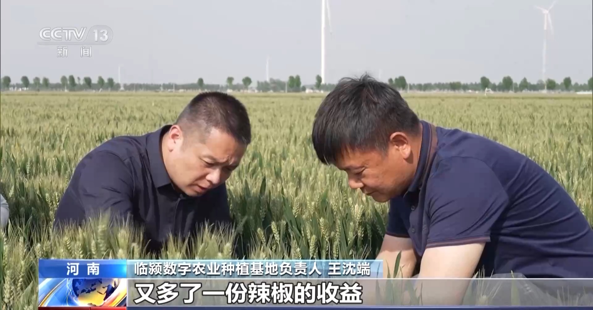 加强田管保丰收 这些科技手段省时省力还省心