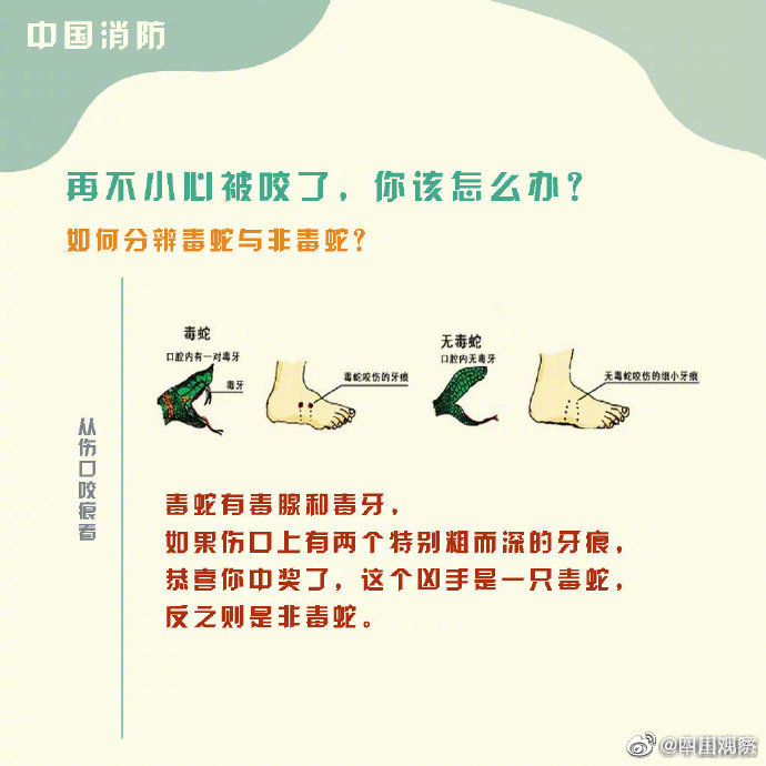 “敲门”进屋纳凉……当心!多地眼镜蛇出没 “敲门”进屋纳凉……当心!多地眼镜蛇出没