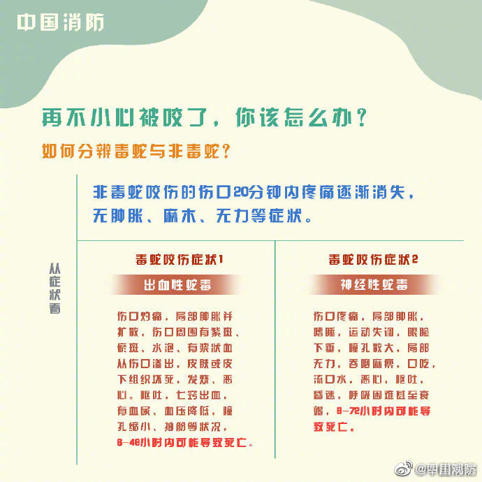 “敲门”进屋纳凉……当心!多地眼镜蛇出没 “敲门”进屋纳凉……当心!多地眼镜蛇出没