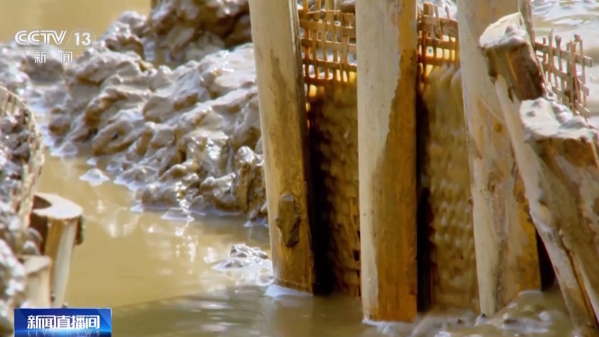 文化中国行丨让滩涂变粮仓 看太湖溇港里的治水智慧