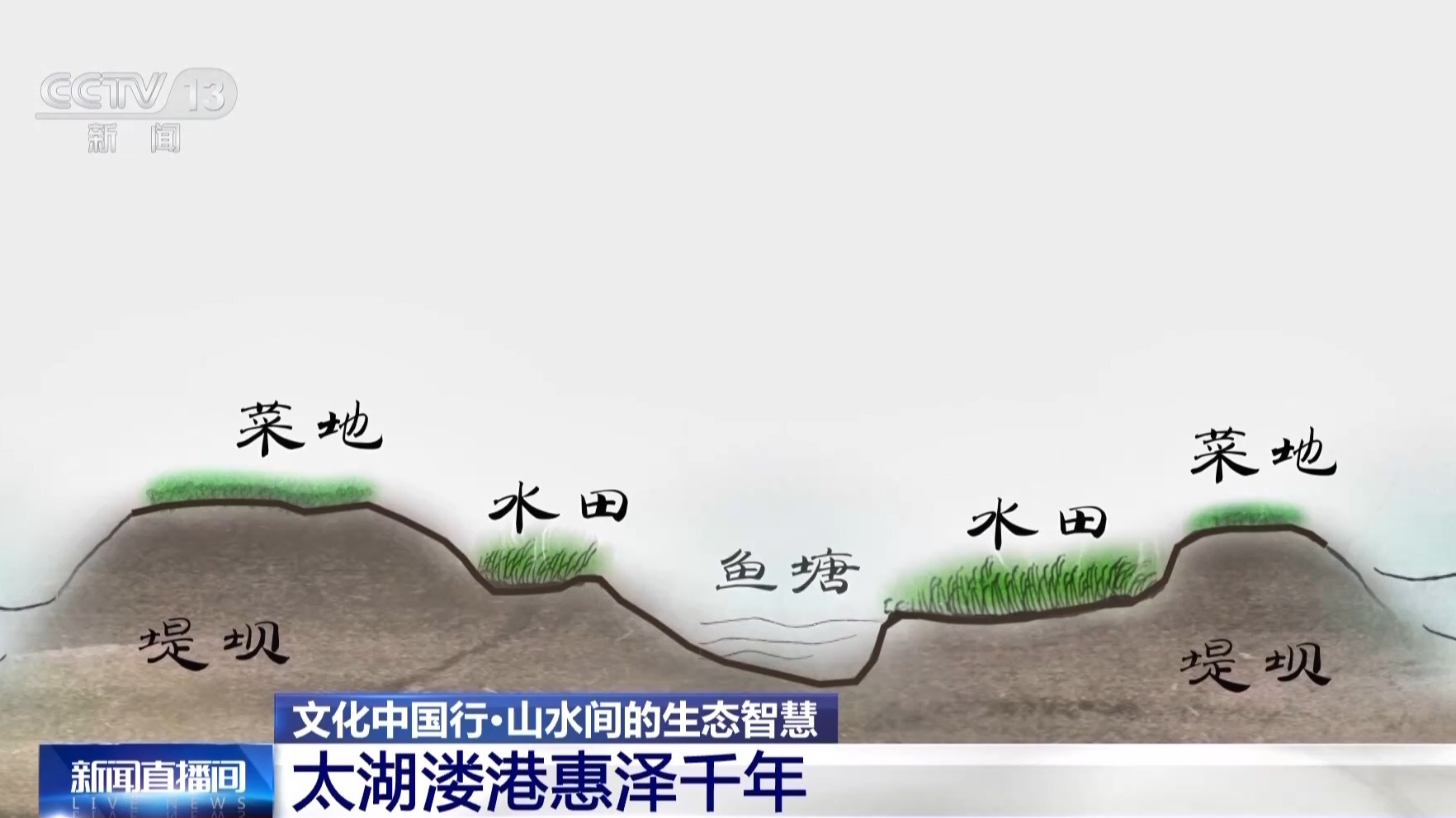文化中国行丨让滩涂变粮仓 看太湖溇港里的治水智慧
