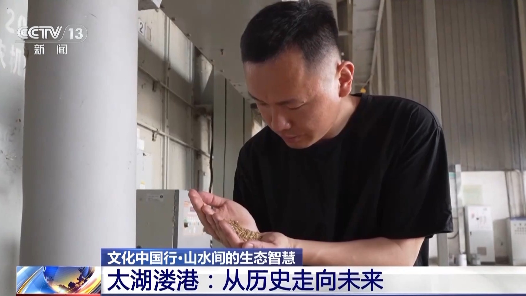 文化中国行丨让滩涂变粮仓 看太湖溇港里的治水智慧