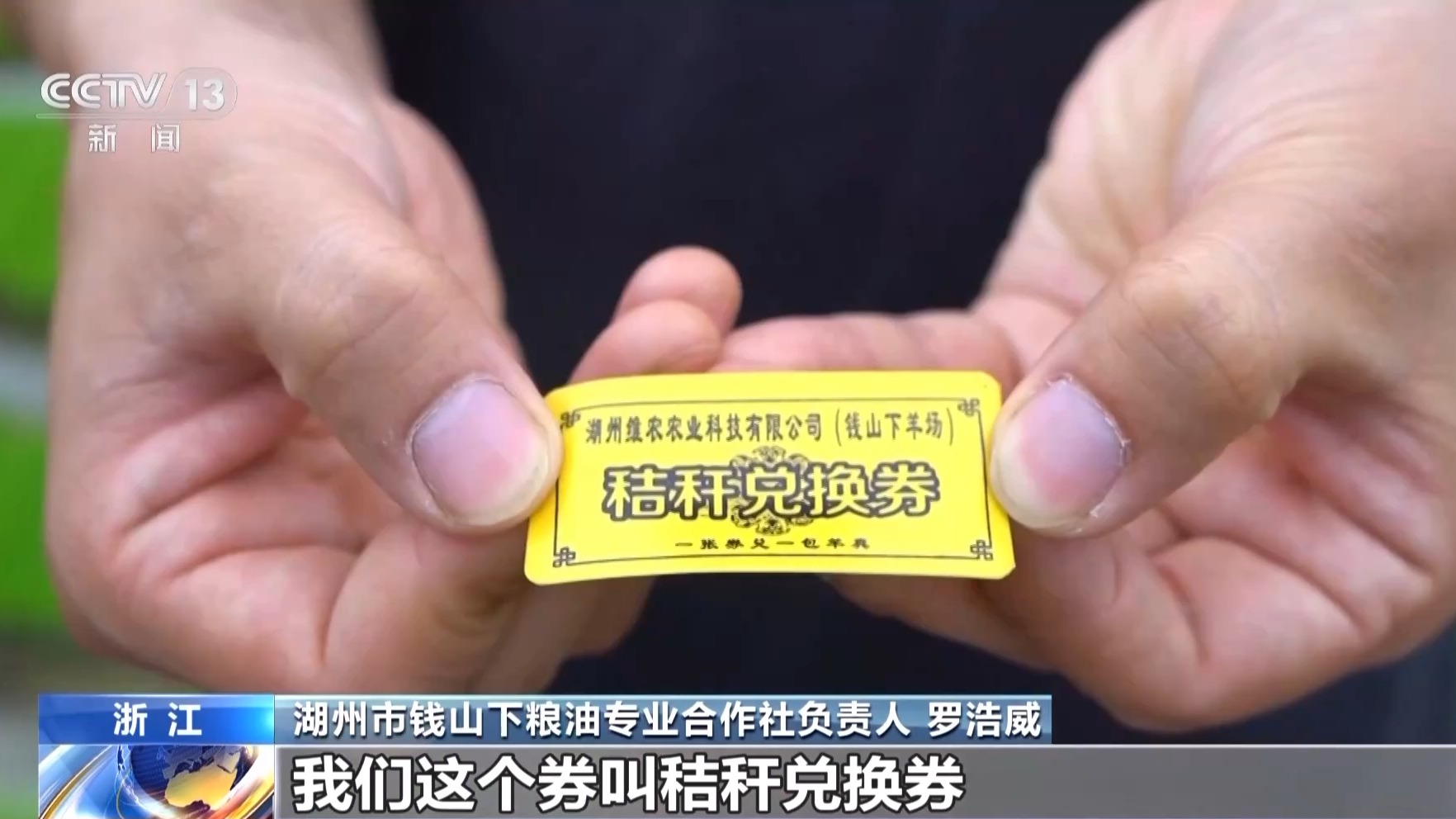 文化中国行丨让滩涂变粮仓 看太湖溇港里的治水智慧