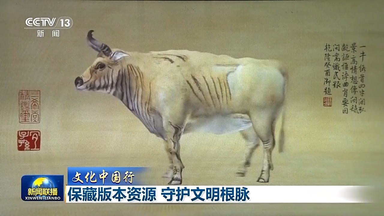 文化中国行丨这里有记录历史、见证文明的“金种子”