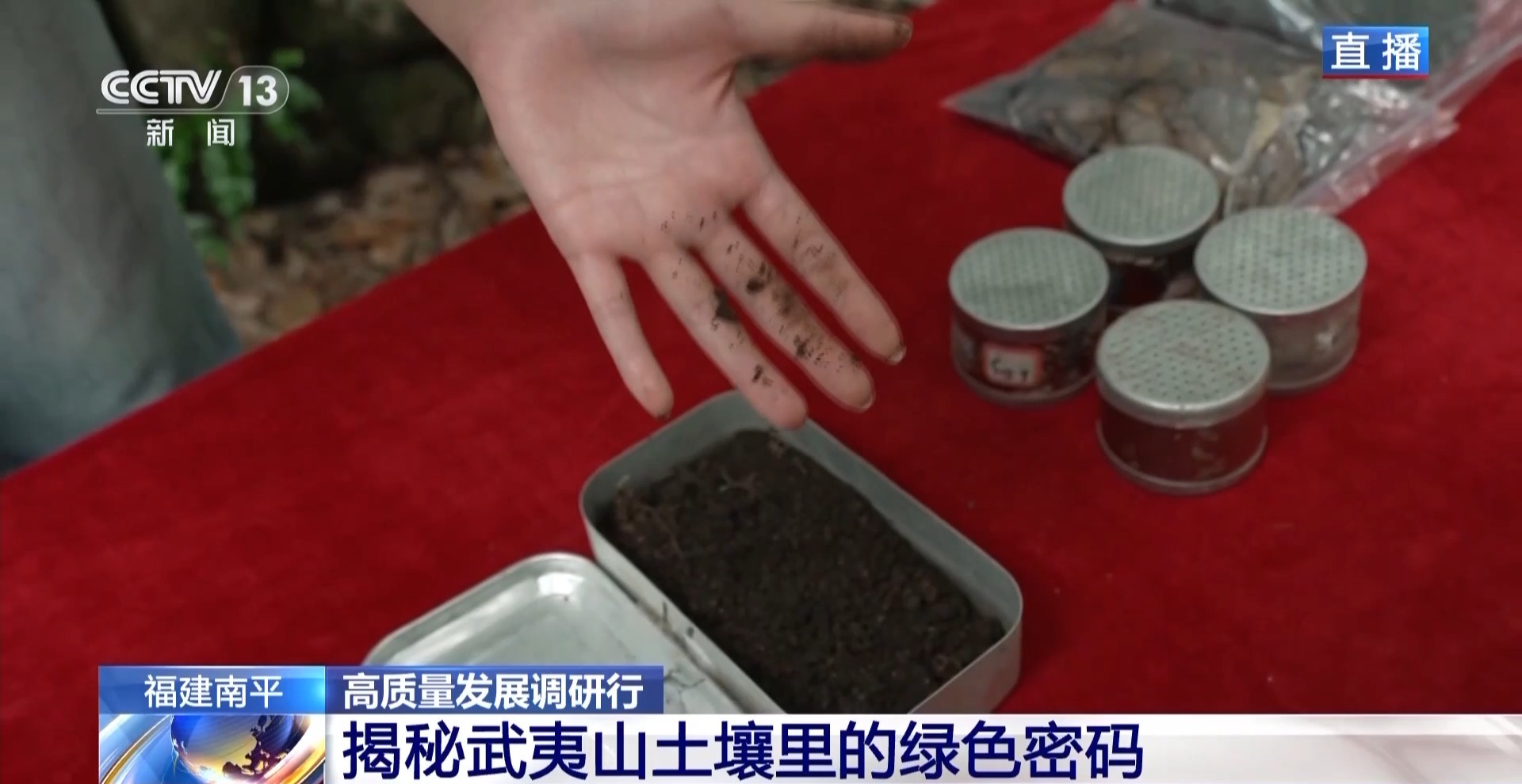 土壤会“呼吸”、空气能卖钱……武夷山生态保护有啥秘诀?