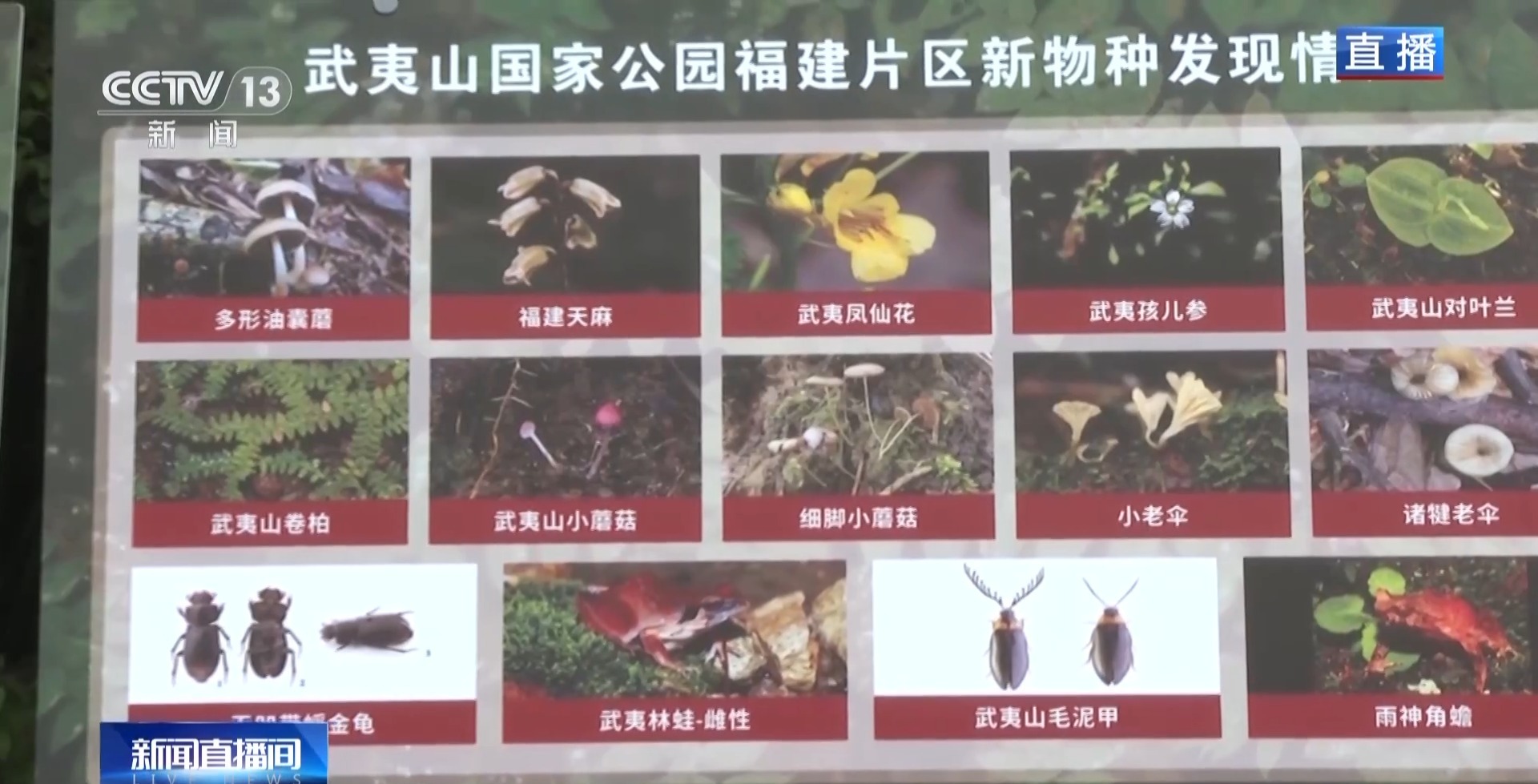 土壤会“呼吸”、空气能卖钱……武夷山生态保护有啥秘诀?