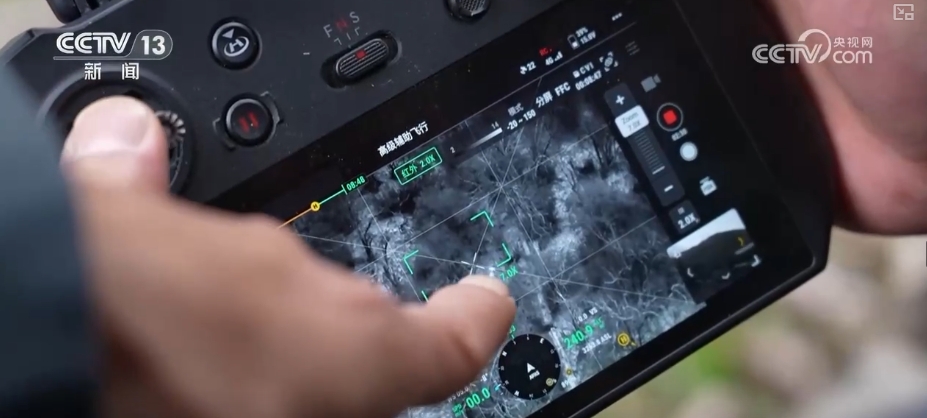 大熊猫醉水、新面孔频现、守护“象”往的生活,看美丽中国生动写照