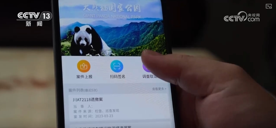 大熊猫醉水、新面孔频现、守护“象”往的生活,看美丽中国生动写照