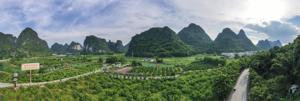 魅力山乡｜种一片绿，收获一片新希望