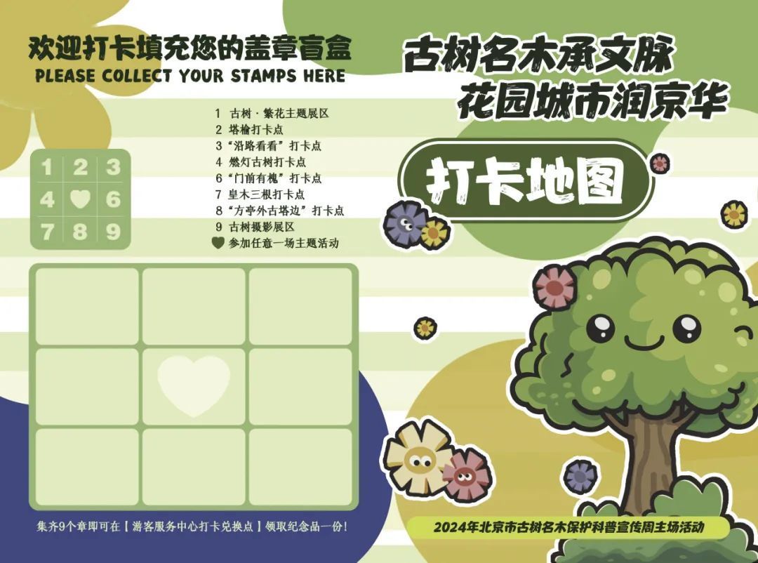 北京古树名木保护再升级 来大运河畔打卡“绿色文物”