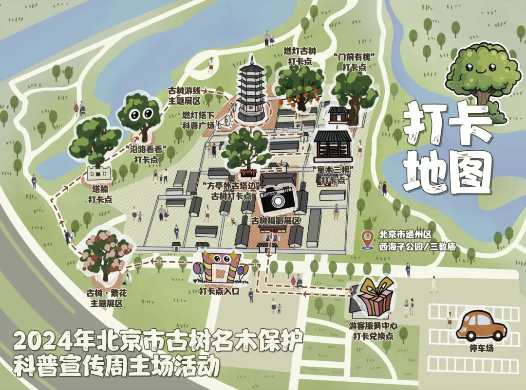 北京古树名木保护再升级 来大运河畔打卡“绿色文物”