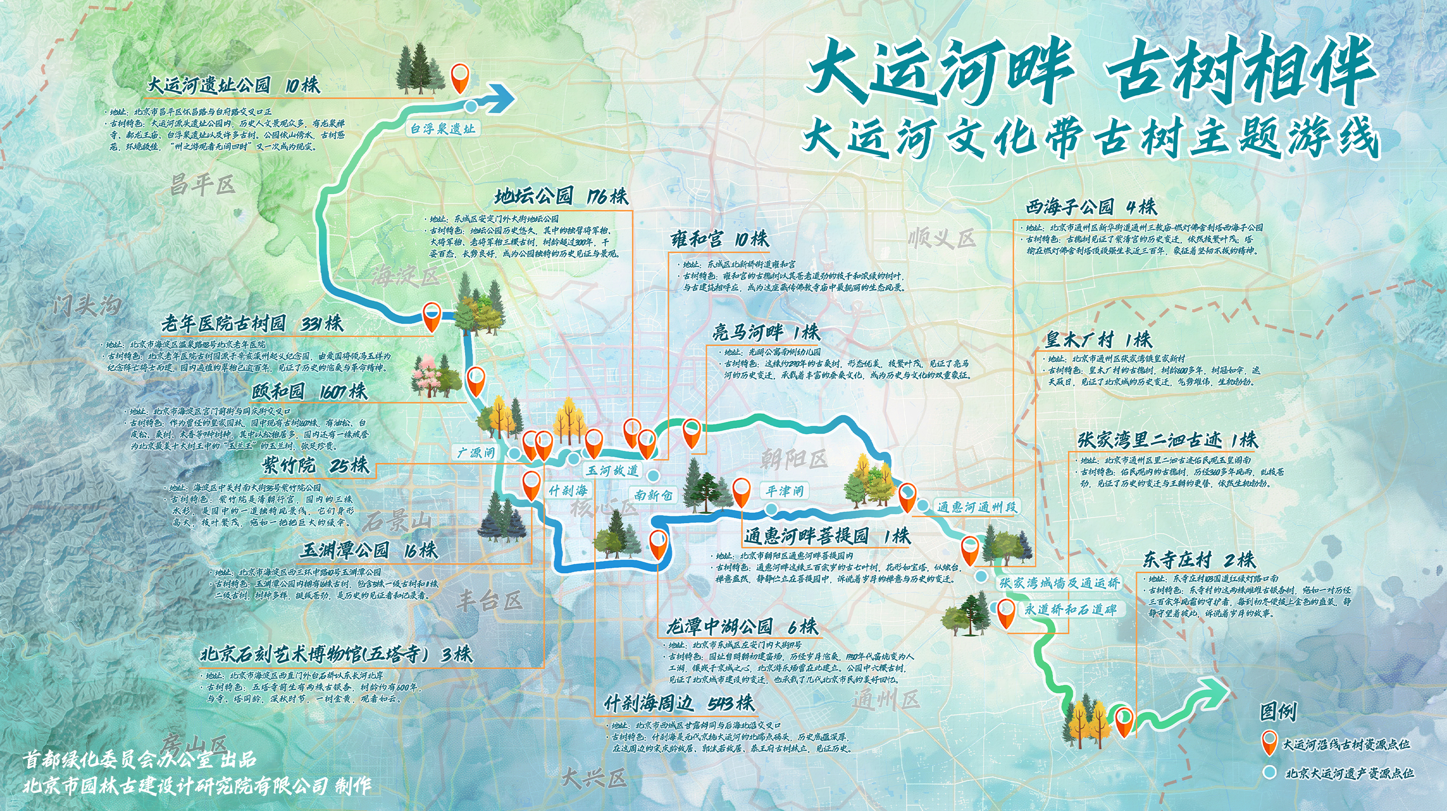 北京古树名木保护再升级 来大运河畔打卡“绿色文物”