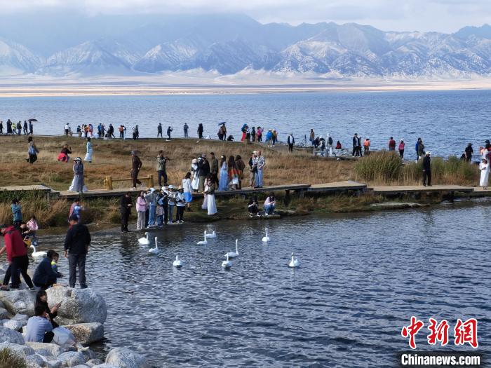 新疆赛里木湖天鹅舞 秋日风光醉游人