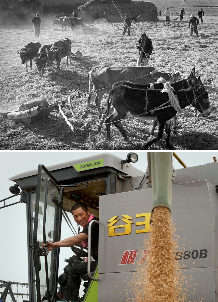 时光相册丨“中原粮仓”的丰收记忆，都在这些照片里了