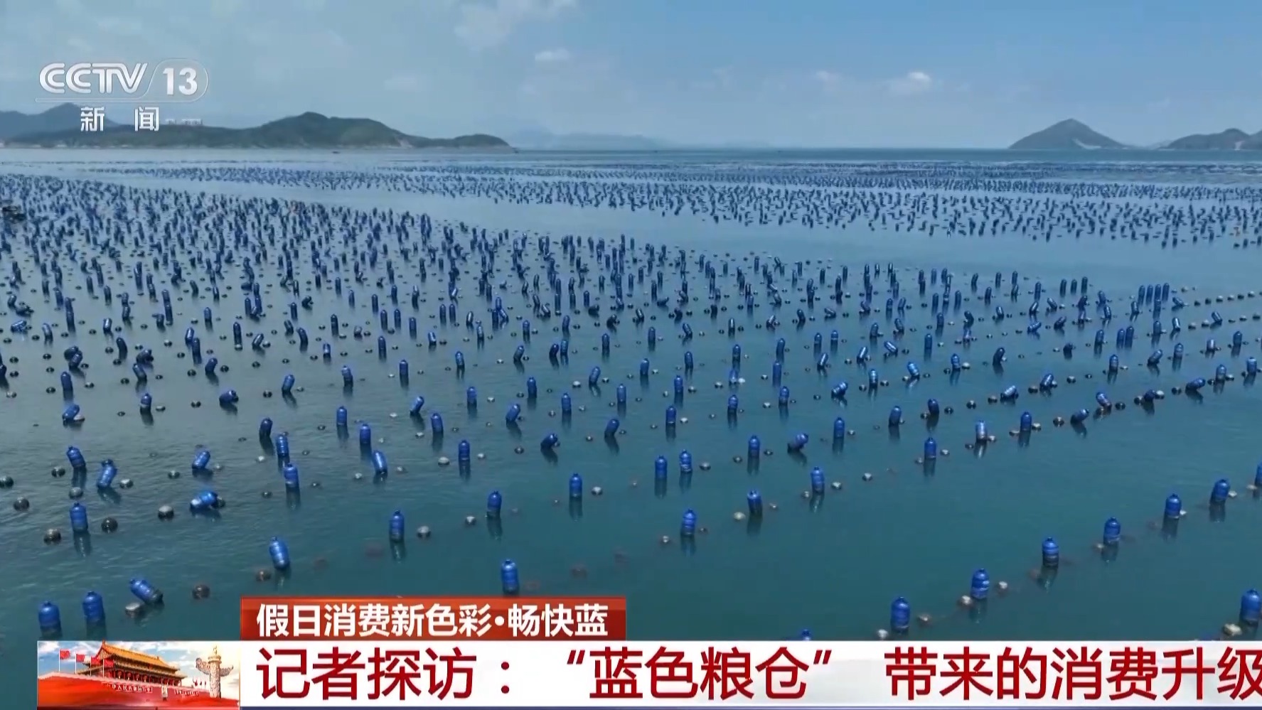 海天一色，蓝色粮仓！假期去大海，体验“蓝”色消费新场景