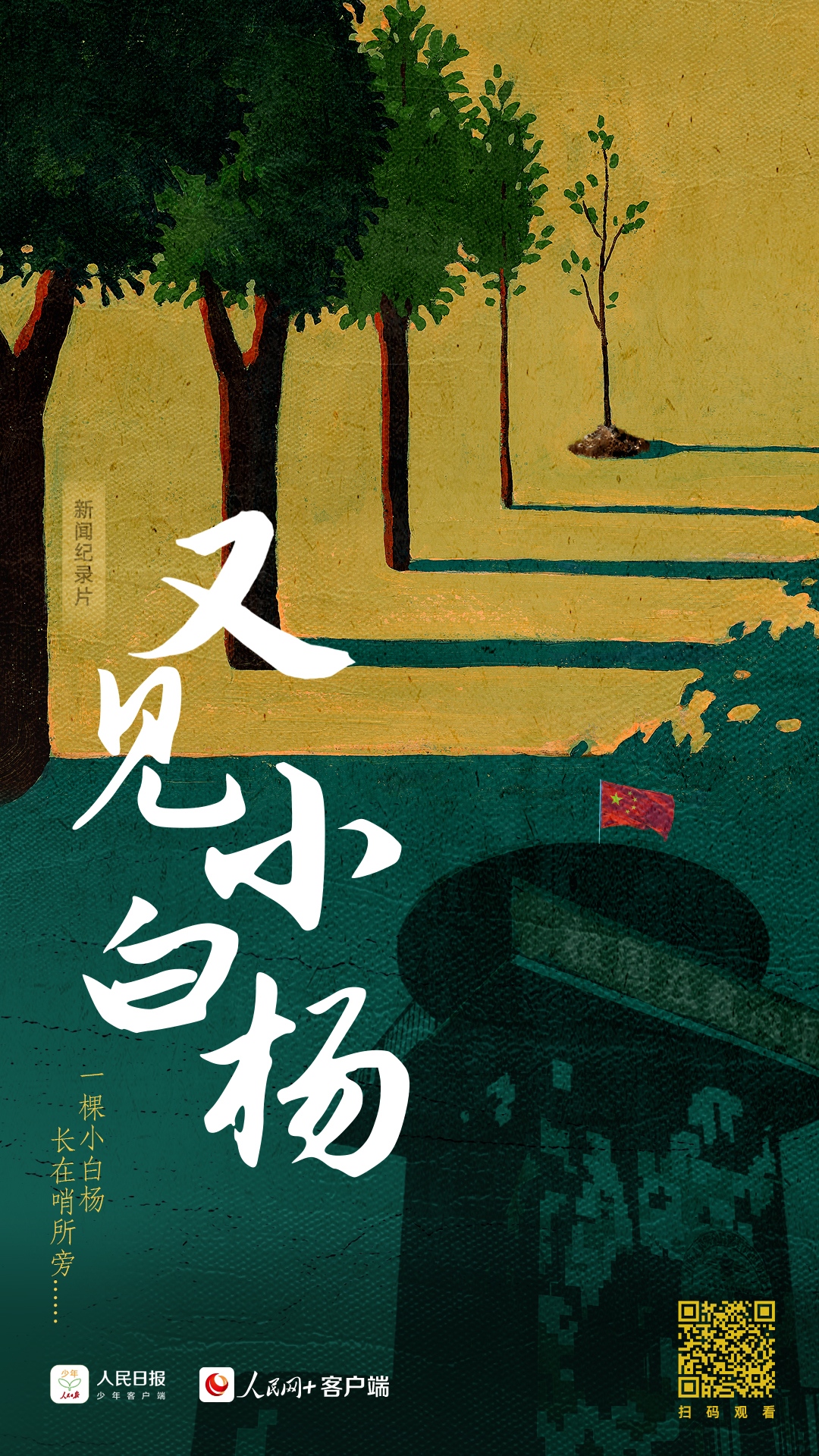 何以中国｜又见小白杨