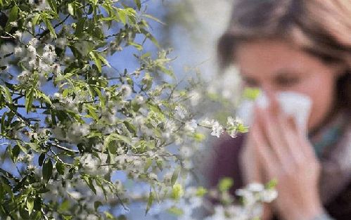 北方多地发病率上升 为何过敏性鼻炎患者越来越多