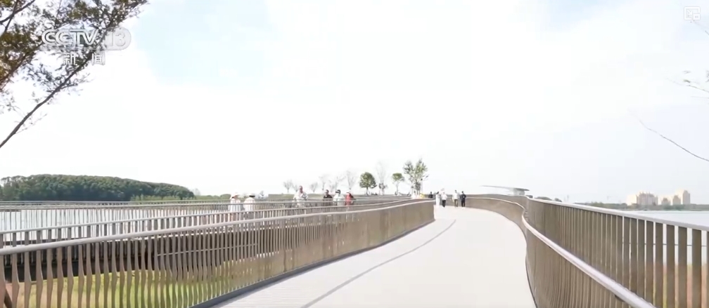 长三角生态绿色一体化示范区 | 多角度透视五周年“成绩单”