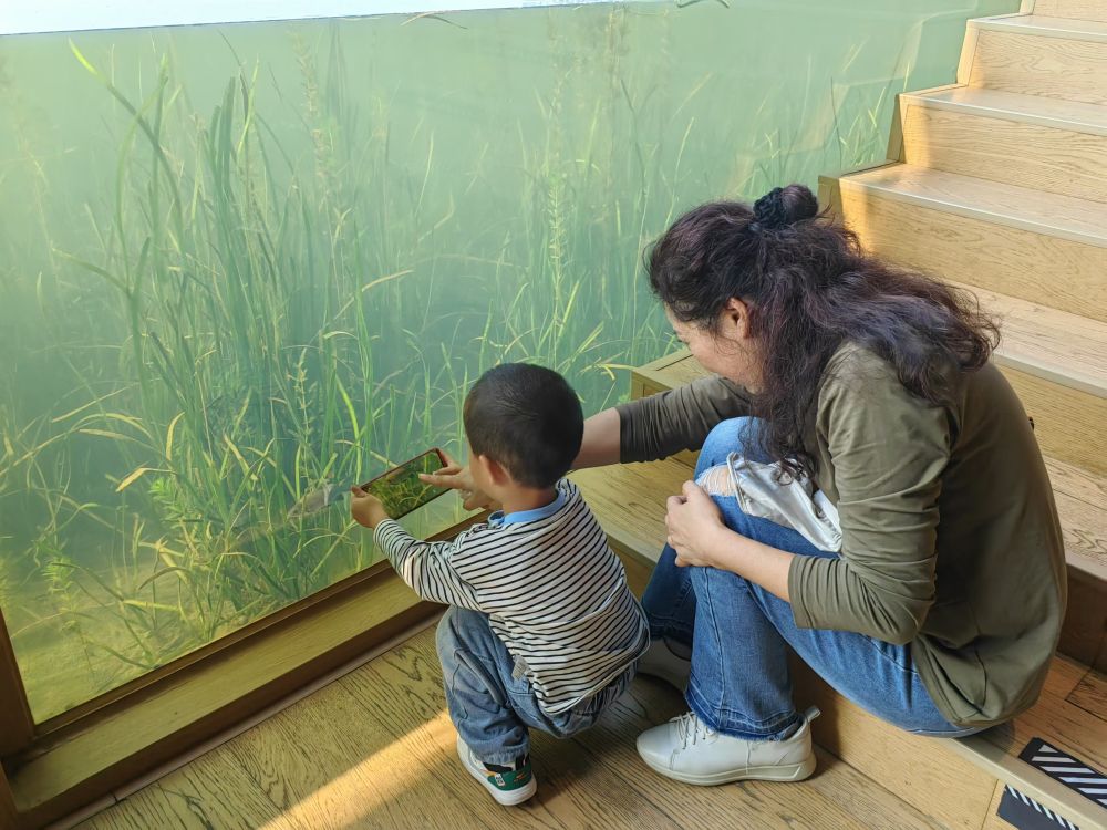 努力打造新的增长极——四川天府新区高质量发展观察