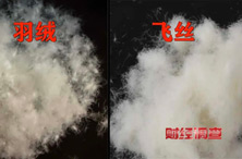 假羽绒制品满天飞，消失的不只是羽绒