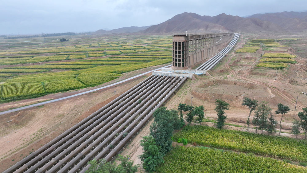 走好新时代长征路 “塞上江南”焕新颜——宁夏高质量发展实现新突破