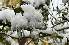 畅享冰雪安全先行 滑雪过程中这些安全规则要遵守