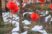 “棉花雪村”遭质疑，糊弄消费者终不是长久之计