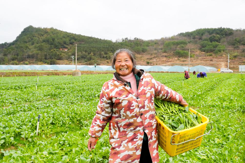 人勤春来早！全国多地农业生产一线见闻